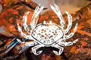 B&O American Brasserie Annual Crab Bash, Aug 7