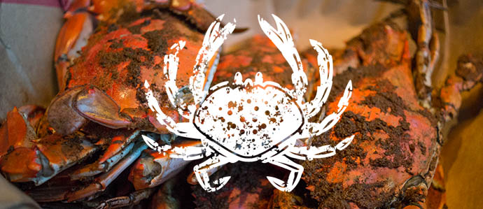 B&O American Brasserie Annual Crab Bash, Aug 7