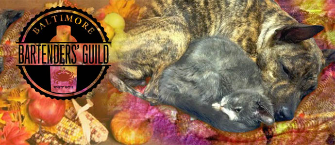 Baltimore Bartenders' Guild Serves Up Pet-Tails for BARCS