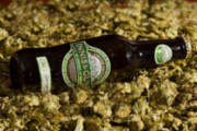 Craft Beer Baltimore | Scottish Brewery Releases 'Performance Enhancing' Ale | Drink Baltimore