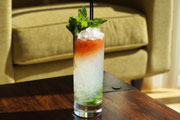 Home Bar Project: How to Make a Queen's Park Swizzle