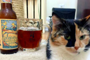 Craft Beer Baltimore | Instagram Account Pairs Cats With Beer, Makes Internet's Dreams Come True | Drink Baltimore