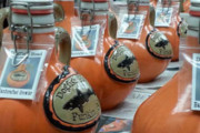 Craft Beer Baltimore | Dogfish Head Announces Release Date of Punkin Ale and Handcrafted Punkin Growlers  | Drink Baltimore